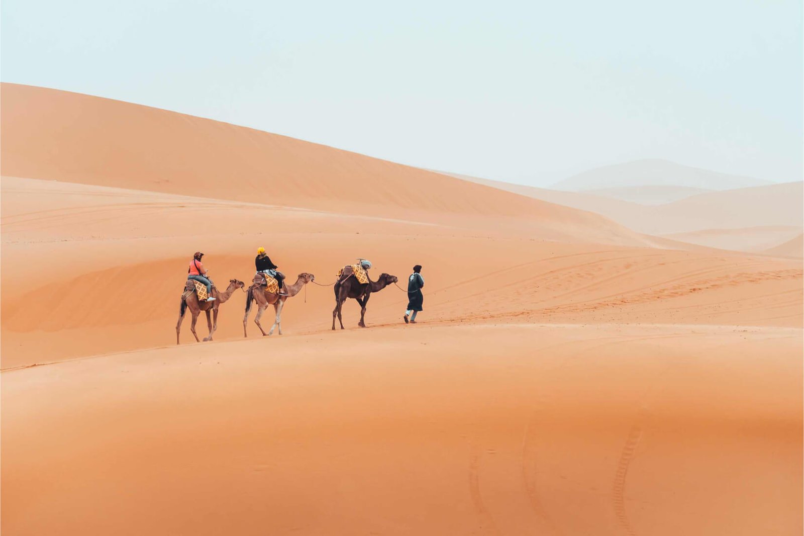 camel-trek-with-tourists-through-the-sahara-desert-LUGSGLT.jpg
