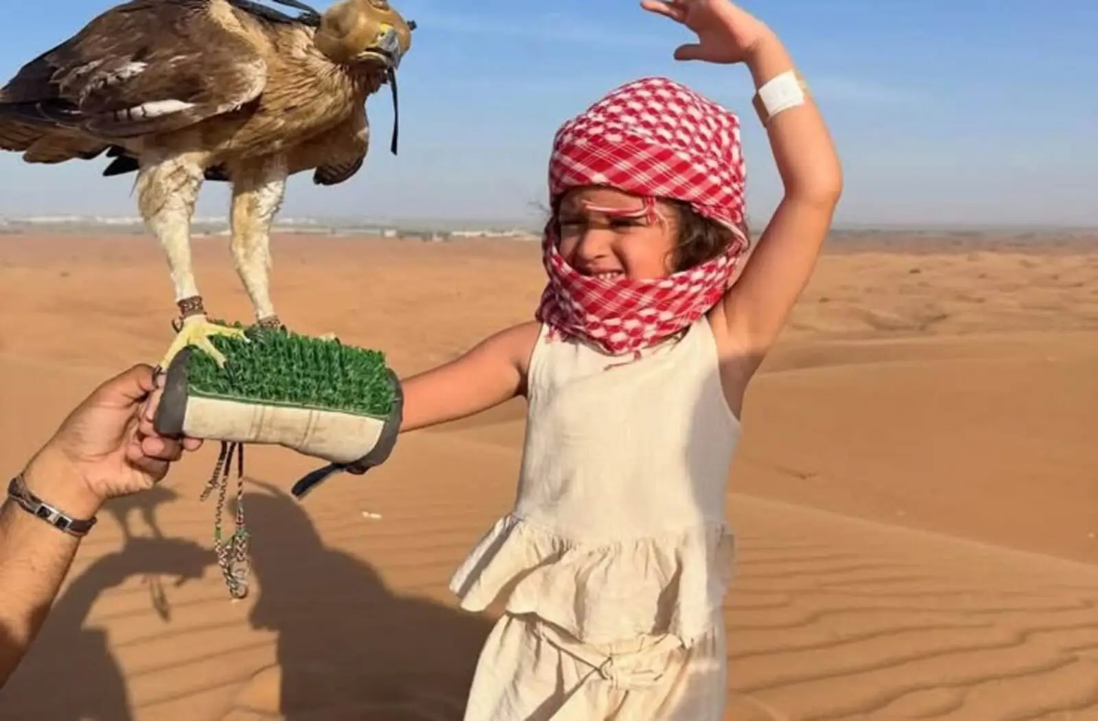 Young girl posing with a falcon during a desert safari in Dubai